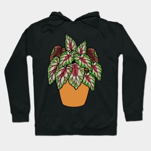 Begonia Rex Plant Illustration | Plant in a pot Hoodie